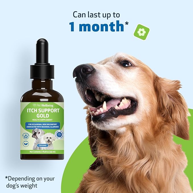 Pet Wellbeing Itch Support Gold for Dogs - Occasional Itching, Scratching, and Hot Spots, Environmental and Seasonal Allergies, Dong Quai - Veterinarian-Formulated Herbal Supplement 2 oz (59 ml)