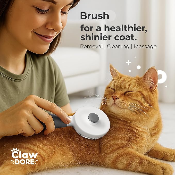 XL Stainless Steel Litter Box with Lid for Big Cats - Prevents Odor & Stains - Leak-Proof, Rust-Free & Non-Stick - Extra Large Cat Litter Box Stainless Steel with Scooper, Brush, Bowl & Mat Included