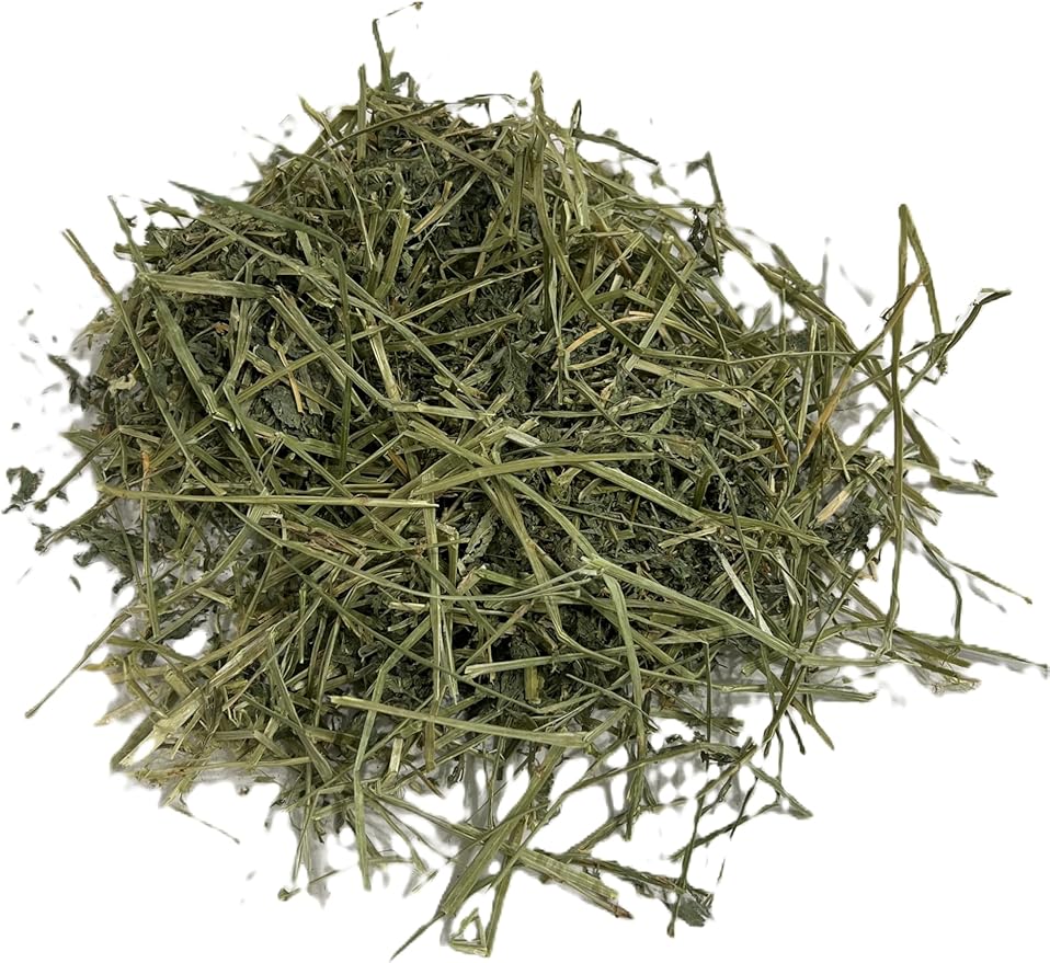 Blue Mountain Hay | Fresh Alfalfa Hay (48 Ounce) | High Leaf Retention | Nutritious High-Altitude Hay Pet Food for Rabbits, Guinea Pigs, Chinchillas, Hamsters, and Other Small Pets