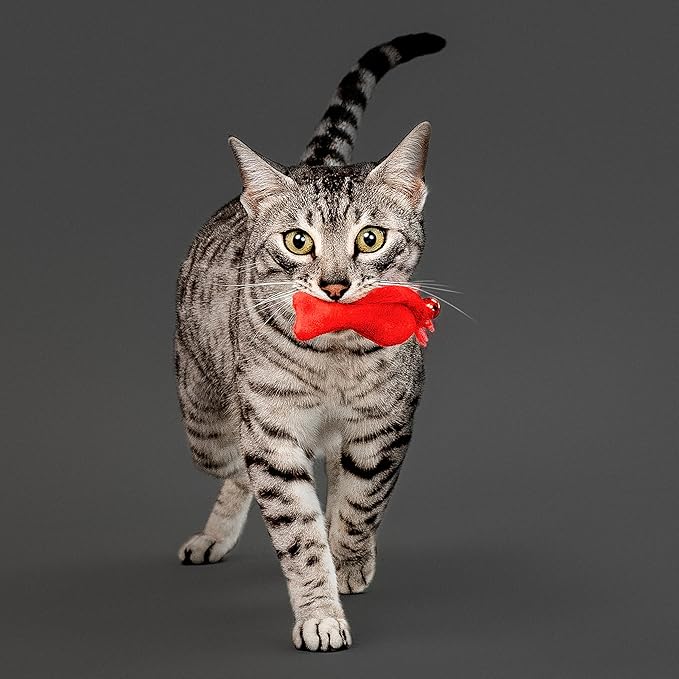 Playology Cat Toy Set | 5-Pack Feather Fish | Interactive Feather Toys for Cats | Stimulating Playtime Fun