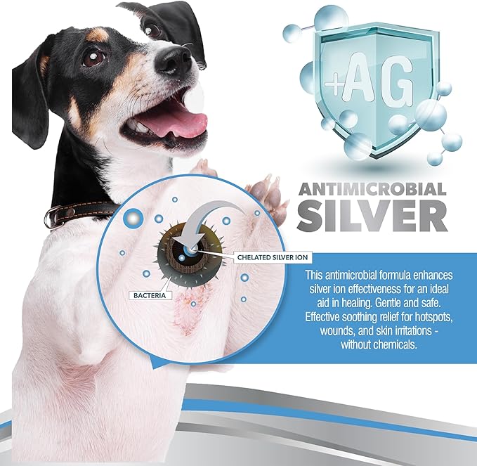 PetSilver Wound & Skin Spray - Dog Wound Spray, Hot Spot, Allergy Relief for Dogs, Itch Spray for Cats - Natural Skin Soother - Chelated Silver, Superior to Colloidal Silver - Made in USA - 4 fl oz