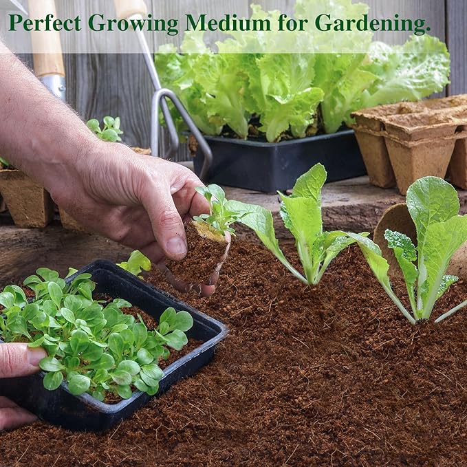 ZeeDix 10 Pack Premium Coco Coir Brick, Organic Compressed Coconut Coir Bricks Seed Starter Potting Soil for Plants, Coconut Fiber Substrate with Low EC & pH Balance for Gardening Flower Herbs