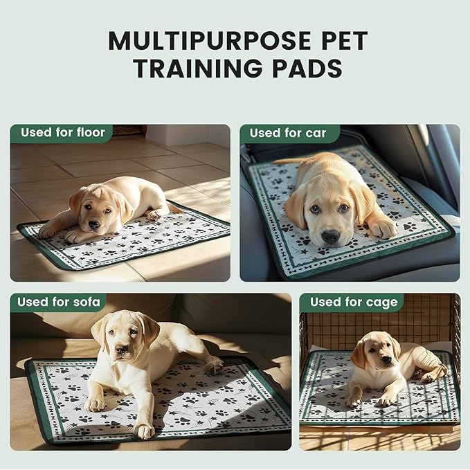 Gardner Pet Washable Dog Pee Pads,18'' x 24'' Non Slip Dog Mats with Great Urine Absorption, Reusable Puppy Pee Pads for Potty Training - 2 Pack