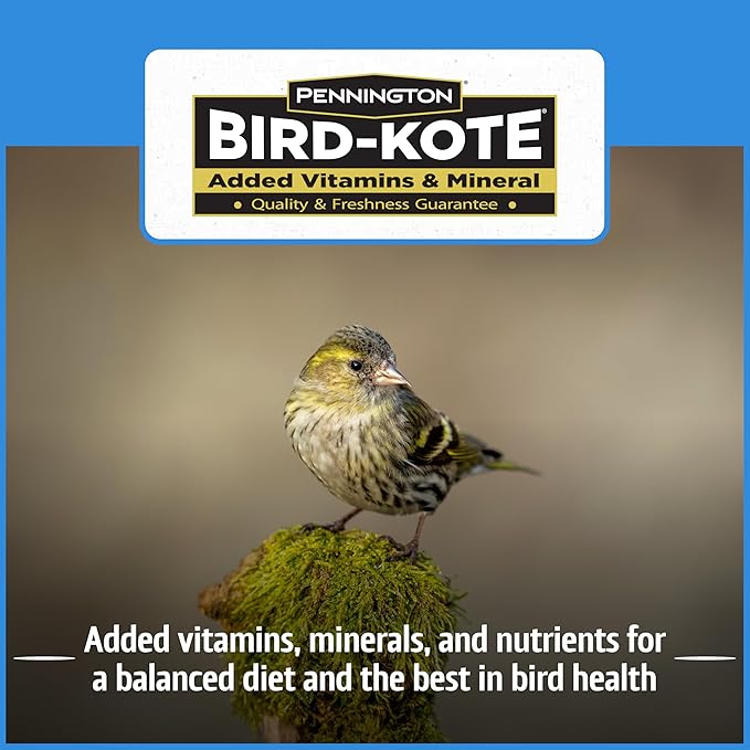 Pennington Select Chips & Bits Wild Bird Seed for Outside Feeders, High-Protein, No-Hull & No-Waste, Sunflower Chips & Peanut Bits Attract Songbirds,15-lb. Bag