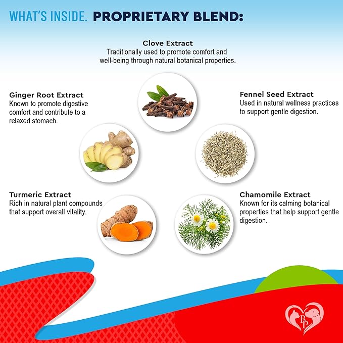 Natural Intestinal Defense for Dogs & Cats – Herbal Cleanse with Wormwood, Black Walnut – Promotes Healthy Gut & Flora Balance – Advanced Broad Spectrum Formula – Made in USA