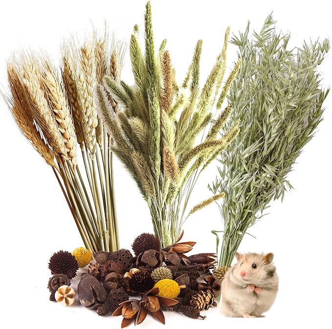 Natural Ear of Grain Flower&Herb Bedding Mate Habitat Decor, Adding Fun Hamster Accessories for Hamsters Gerbils Lemming
