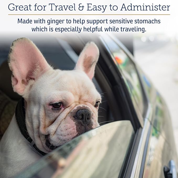 Rx Vitamins NutriCalm - Calming Care for Dogs with Valerian Root, Tryptophan, & Ashwagandha - Aids in Separation Anxiety Relief for Dogs and Stress Relief - Road Trip Essentials & Relaxant - 50ct