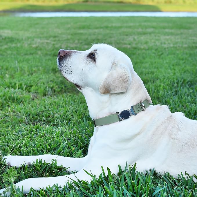 Dogline Biothane Waterproof Dog Collar with Herm Sprenger Black Stainless Steel Quick Release Buckle – Heavy Duty Tactical Durable Collar for Dogs – Comfortable, Safe Pet Collar W1 L15-25 Sage Green