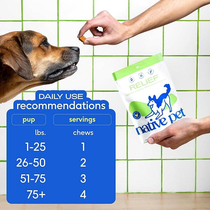 Native Pet Pain Relief for Dogs - Collagen for Dogs Promotes Joint Health, Reduce Inflammation & Stiffness - Senior Pup Joint Supplement - Natural Pain Reliever for Active & Aging Pets - 60 Chews