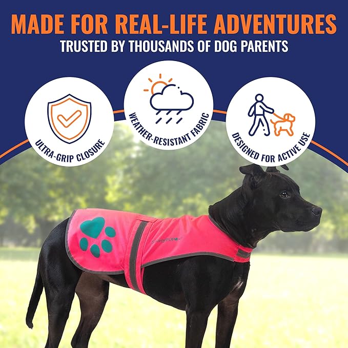 Dog Reflective Vest – Hi-Vis Fluorescent Visibility That Helps to Safeguard Your Pet On/Off Leash in Urban & Rural Areas (Pink, Large)