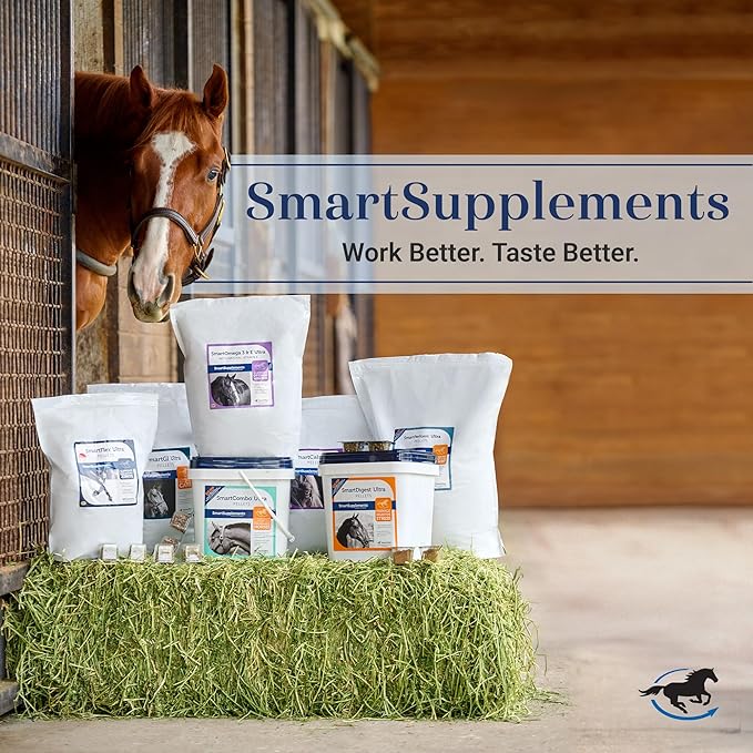 SmartLytes Horse Electrolyte Powder Supplement | Encourages Hydration, Replenishes Electrolytes | No Added Sugar | Cherry Flavor | 56 Servings | 3.5 lb Bucket
