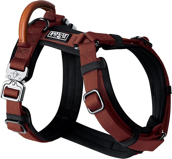MADE TO ROAM Premium Explorer Harness - Y-Shaped Dog Harness with Adjustable Durable Nylon, Soft Padding, Metal Buckles and Leather Handle for Small, Medium, Large Dogs (Arizona Heartbeat, Size 2)