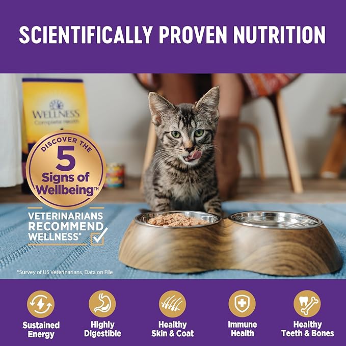 Wellness Complete Health Pate Adult Wet Cat Food, Natural, Protein-Rich, Grain Free, 3 Ounce, 12 Pack, (Chicken & Turkey Favorites Variety Pack)