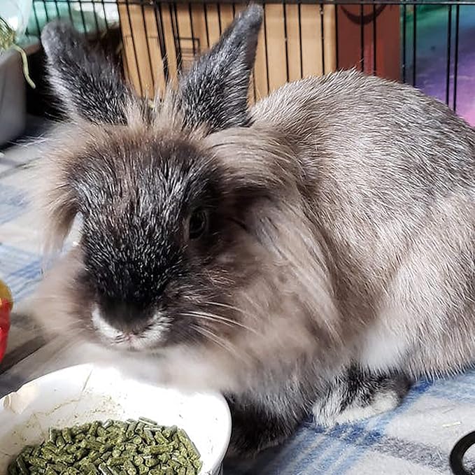 Sherwood Baby Rabbit Food. Hay-Based Pellet. No Wheat, Corn, or Soy for Better Digestion. 10 lbs