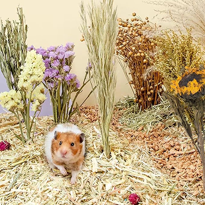 Natural Ear of Grain Flower&Herb Bedding Mate Habitat Decor, Adding Fun Hamster Accessories for Hamsters Gerbils Lemming