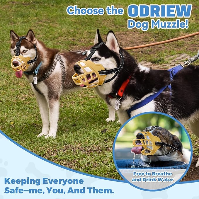 Dog Muzzle for Large Dogs, Breathable Basket Muzzles for Small, Medium and X-Large Aggressive Dog, Allows Panting Drinking, Suitable for Grooming Trimming Training (5, Luminous Orange)