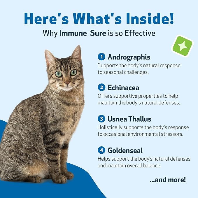 Pet Wellbeing Immune Sure for Cats - Supports Normal Immune Defenses, Gut Flora Balance, Andrographis, Echinacea, Vitamin C, Zinc - Veterinarian-Formulated Herbal Supplement 2 fl oz (59 ml)