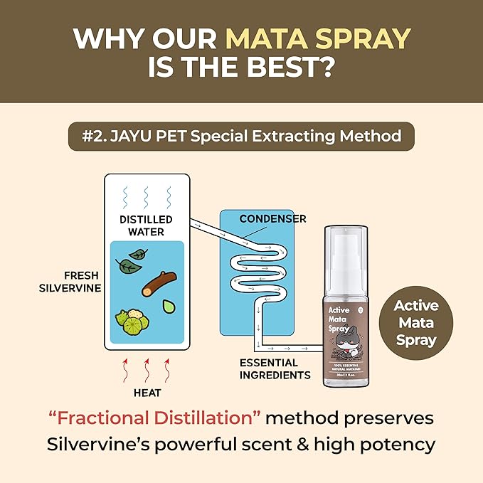 JAYU PET Active MATA Spray – 100% Natural Silvervine Spray for Cats, Liquid Catnip Alternative, Calming Spray for Indoor Kittens, Boosts Play & Engagement, Reduces Stress (1 fl oz)