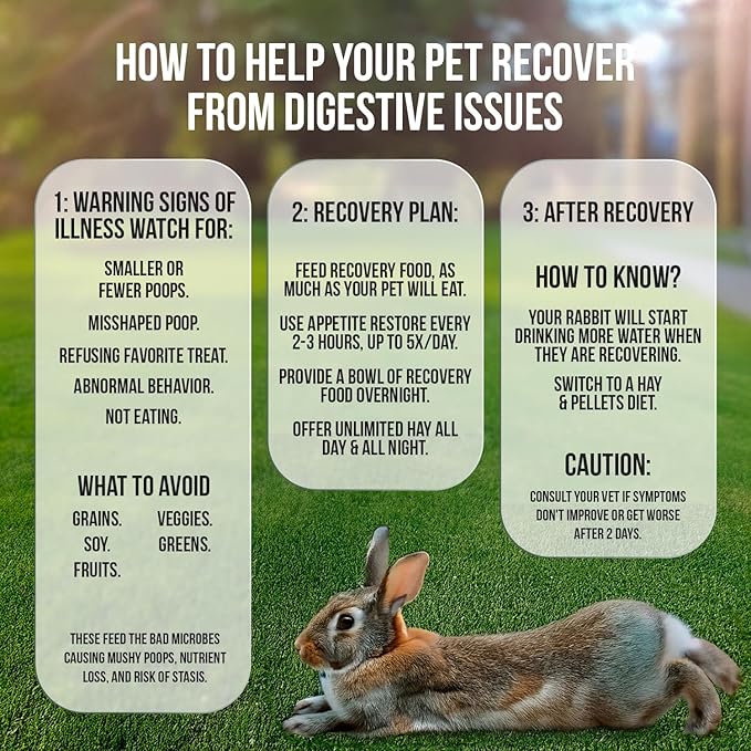 Sherwood Pet Health Rabbit Emergency kit and Bulk Recovery Food (200 Grams)