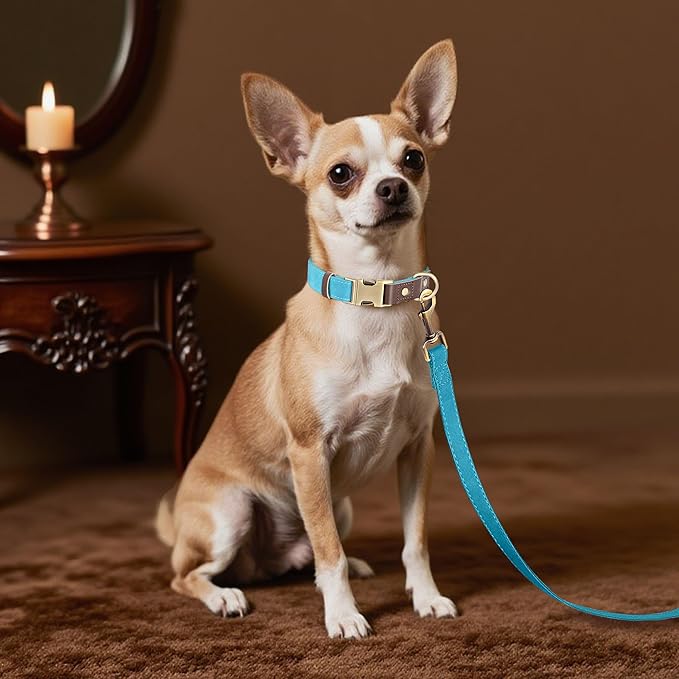 Didog Soft PU Leather Dog Collars for Small Dogs,Classic Adjustable Dog Collars with Quick Release Metal Buckle,Easy Clean and Comfortable with Nylon Lining,Light Blue,S Neck 10-15"