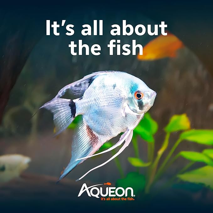 Aqueon 10 Gallon Aquarium Starter Kit with SmartClean Filtration and LED Lighting for Tropical Freshwater Fish