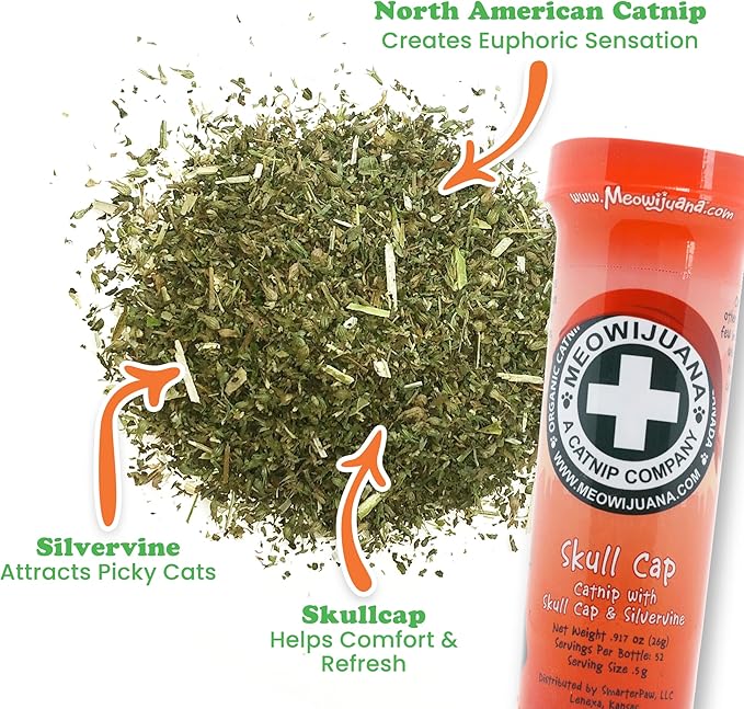 Meowijuana Jump 'n' Jamb Door Hanging Cat Toy | Sloth | Refillable Interactive Catnip Toy | Promotes Play and Cat Health | Includes Potent Catnip Grown in North America