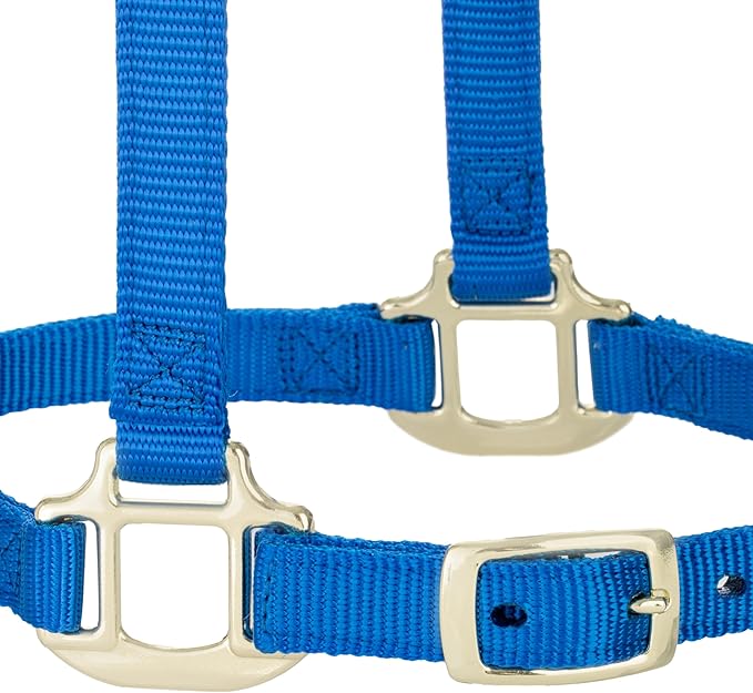 Weaver Equine Breakaway Horse Halter, Supple Leather Crown, Adjustable Chin & Throat Snap Halters for Horses, Equine Tack