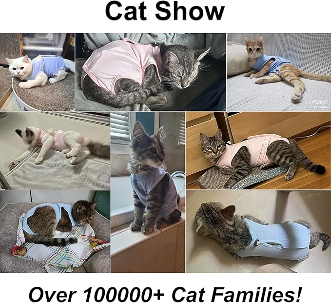 Cat Recovery Suit, Surgical Recovery Clothes for Abdominal Wound or Skin Disease, Cats Onesie After Surgery and Spay, E-Collar Alternative Pajama Suit (Pink, Small)