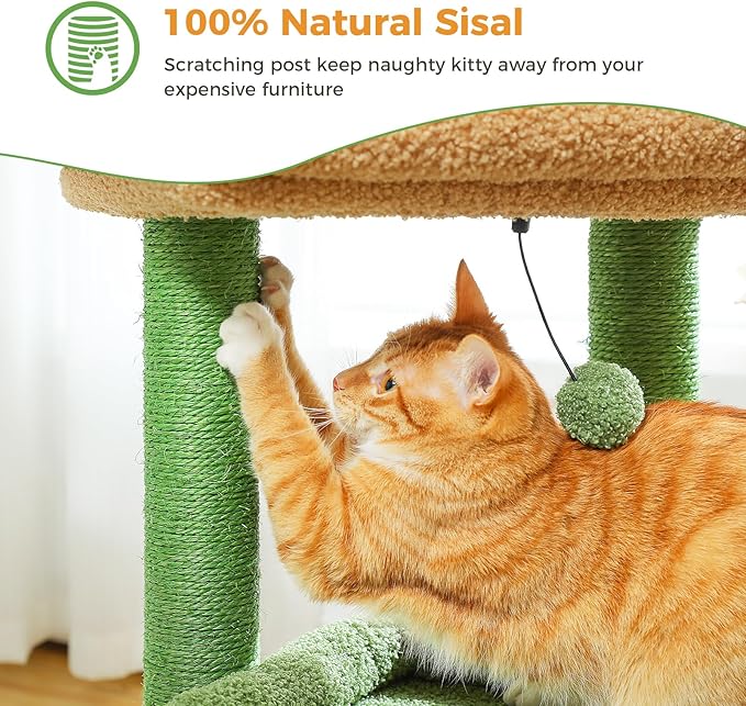 PEQULTI Cat Tree Cactus Cat Tower for Indoor Cats with Private Cozy Cat Condo, Natural Sisal Scratching Posts and Plush Pom-pom for Small Cats Green