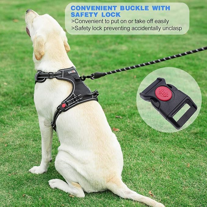 No Pull Dog Harness Adjustable Reflective Oxford Easy Control Medium Large Dog Harness with A Free Heavy Duty 5ft Dog Leash (S (Neck: 13"-18", Chest: 17.5"-22"), Black Harness+Leash)