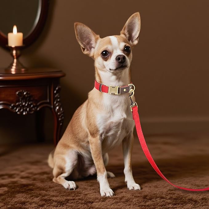 Didog Soft PU Leather Dog Collars for Small Dogs,Classic Adjustable Dog Collars with Quick Release Metal Buckle,Easy Clean and Comfortable with Nylon Lining,Red,S Neck 10-15"
