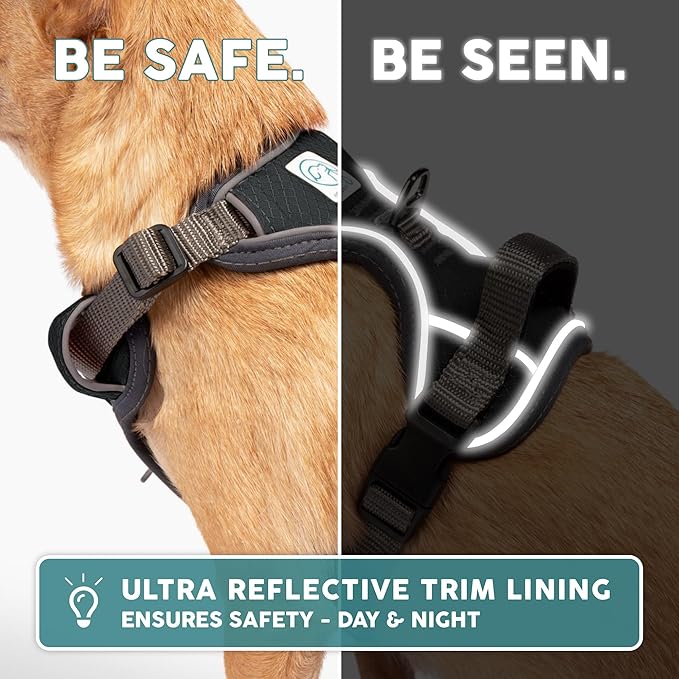 Embark Adventure Dog Harness, Reflective Trim No Pull Dog Harness Medium Sized - Military Grade Nylon, Front Clip with Gel Lined Handle. Soft & Padded Puppy Harnesses for Any Breed