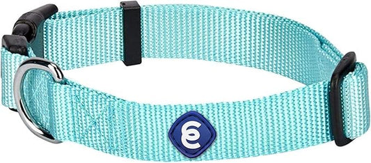 Blueberry Pet Essentials X-Small Dog Collar in Mint Blue | Adjustable & Eco-Friendly Durable Nylon Strap | Classic Collar for X-Small Dogs, Boy & Girl Pets