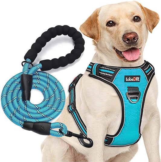No Pull Dog Harness Adjustable Reflective Oxford Easy Control Medium Large Dog Harness with A Free Heavy Duty 5ft Dog Leash (S (Neck: 13"-18", Chest: 17.5"-22"), Blue Harness+Leash)