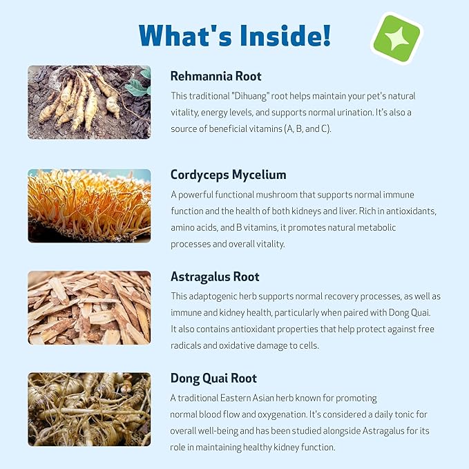 Pet Wellbeing Kidney Support Gold for Cats - Supports Healthy Kidney Function, Fluid Balance, Energy Levels, Rehmannia, Dong Quai - Veterinarian-Formulated Herbal Supplement 4 oz (118 ml)