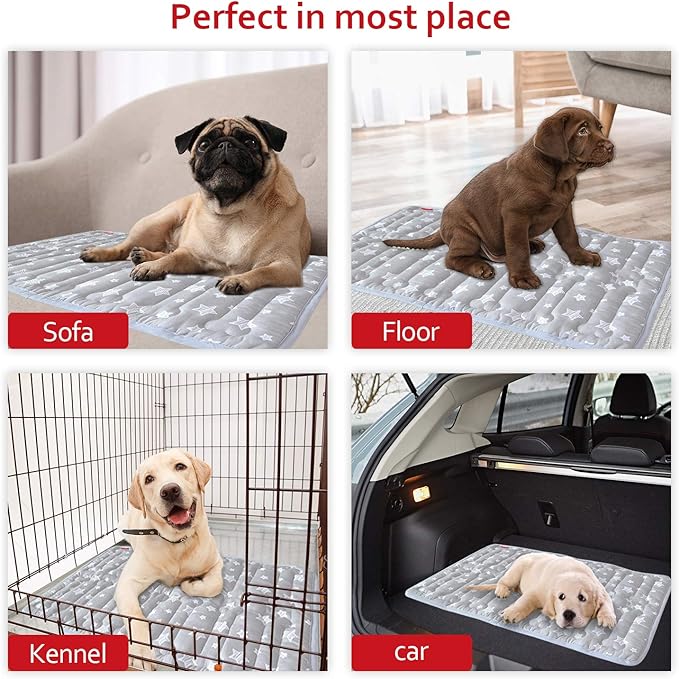 Dog Crate Mat (30" X 19"), Soft Dog Bed Mat with Cute Prints, Personalized Crate Pad, Anti-Slip Bottom, Machine Washable Kennel Pad
