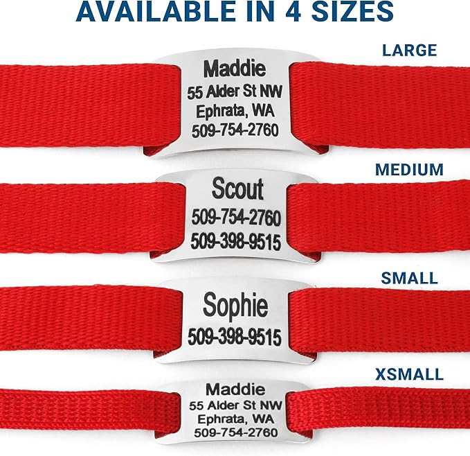 GoTags Personalized Dog Collar with Nameplate, Adjustable Dog Collar with Custom Engraved Slide On Pet ID Tag in Stainless Steel, Silent, No Noise Dog Tag for Large Medium and Small (Red, X-Small)