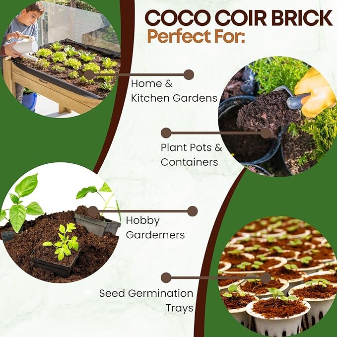 2 Pack Premium Coco Coir Brick for Plants | 100% Organic Compressed Coconut Coir Bricks Starting Mix, Coco Coir Fiber Coconut Husk for Planting, Gardening, Potting Soil Substrate, Herbs, 1.4 LB/Brick