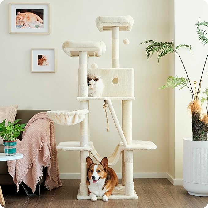 Ouritsu Cat Tree, 61 inch Tall Cat Tower for Large Cat Indoor, Enlarged Condo, 2 Padded Perches with 1 Widened, Large Hammock, Scratching Post and ramp, Fluffy Basket, Beige, LF002WH