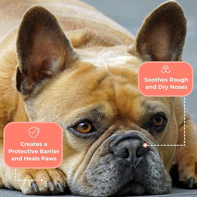 COAT DEFENSE Something Better Balm | Made in USA | Nose & Paw Balm | Lick Safe, Healing and Deeply Moisturizing | Paw Soother for Dogs & Dog Skin Soother (1.5 OZ)