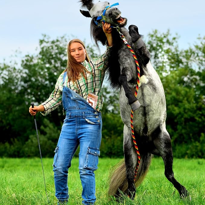 Licking Salt for Horse, 100% Pure Himalayan Pink Salt Chunks, 6 LBS, Animal Feed Salt Chunks, Horse Salt Licks, Natural Mineral Salt - Pack of 2