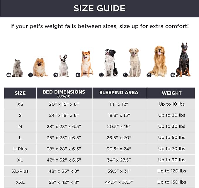 Bedsure Orthopedic Dog Beds for Small Dogs - Washable Small Dog Cat Bed Waterproof, Comfort Pet Couch Sofa with Washable Removable Cover, Pets Bed with Nonskid Bottom, Plush-Black, 24"