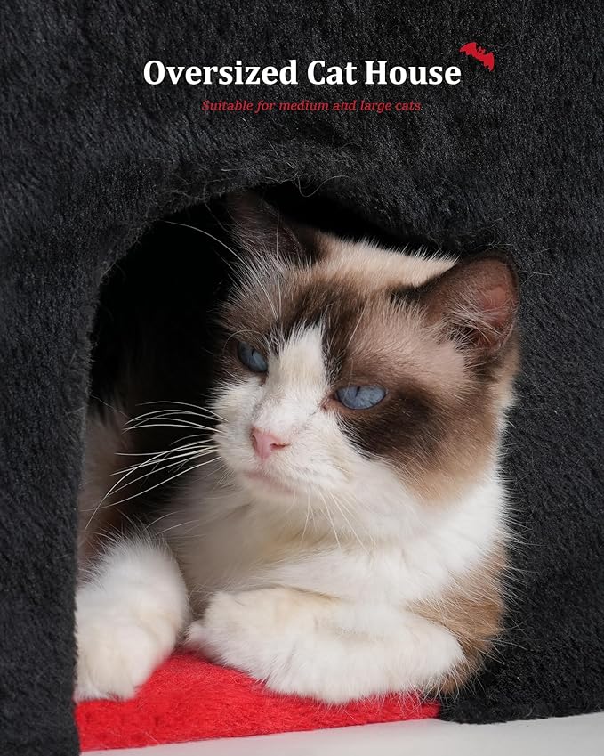 Gothic Cat Condo Cave for Indoor Cats, Spacious Indoor Coffin Cat House Bed,Large 20x13.5inch Bunk Perch, Stable Cubbie for Pets Rabbits, Halloween Red Black