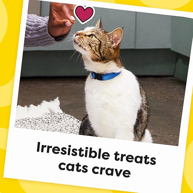 Temptations Classic Crunchy and Soft Cat Treats, Savory Salmon Flavor, 30 oz. Tub