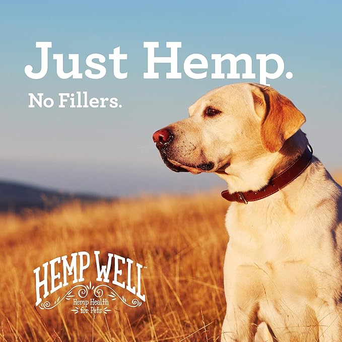 Hemp Well Thrive Oil for Dogs and Cats – Supports Hip, Joint, and Heart Health, Promotes Immune System, and Promotes Healthy Skin from Seasonal Allergies, Organically Sourced - 16 Ounces