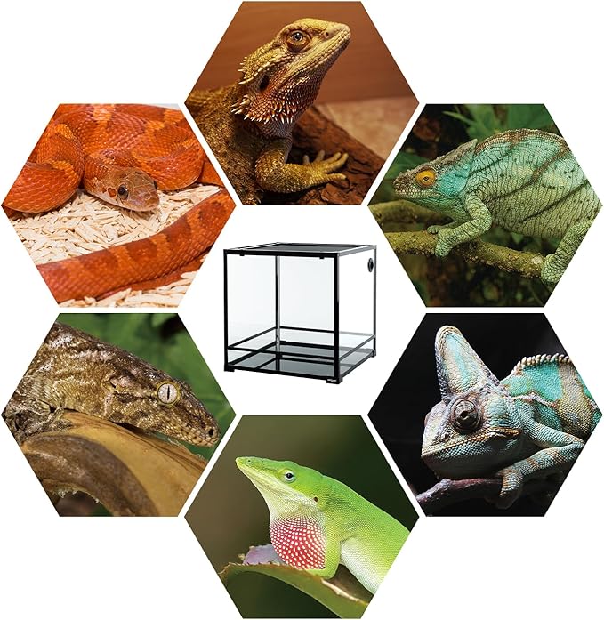 REPTIZOO 60 Gallon Glass Reptile Tank, 24" x 24" x 24" Large Reptile Terrarium Front Opening Terrarium with Double Hinge Door and Top Screen Ventilation, Easy Assembly Enclosure Tank