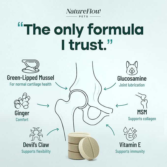 Joint Supplement for Dogs, Power of Nature Made in USA, Unique Formula: Green-Lipped Mussel, Glucosamine, Chrondroitin, MSM, Devils Claw, Hip and Joint Supplement, All Breeds - 200 ct