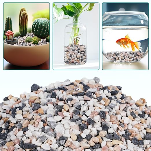 2.5 lbs Small Rocks for Succulents, 1/5 Inch Pebbles for Indoor Plants, Decorative Pea Gravel for Terrarium, Vases, Aquariums, Fish Tank, Drainage Rocks for Potted Plants, Bamboo,Crafts, Cactus
