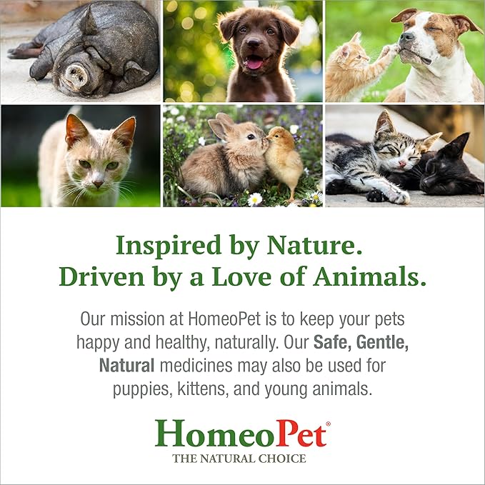 HomeoPet Feline Skin and Itch, Safe and Natural Cat Supplement for Itchy Skin, Skin and Itch Relief for Cats, 15 Milliliters