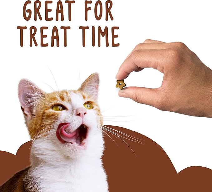 Purina Friskies Party Mix Cat Treats (Wild West Crunch, 2.1 Ounce (Pack of 6))